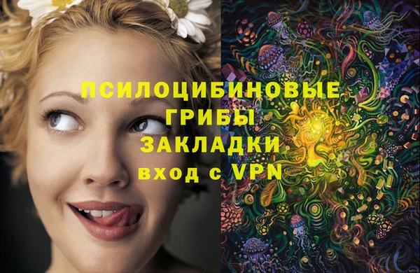 скорость Белокуриха