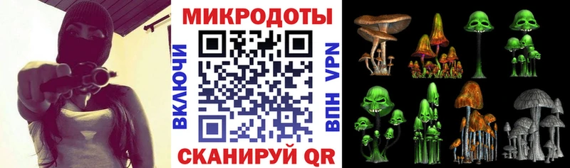 сколько стоит  Балашов  Галлюциногенные грибы Magic Shrooms 