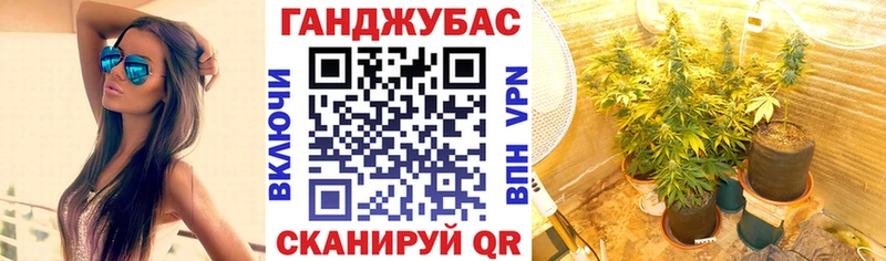 Шишки марихуана тримм  купить наркоту  Балашов 